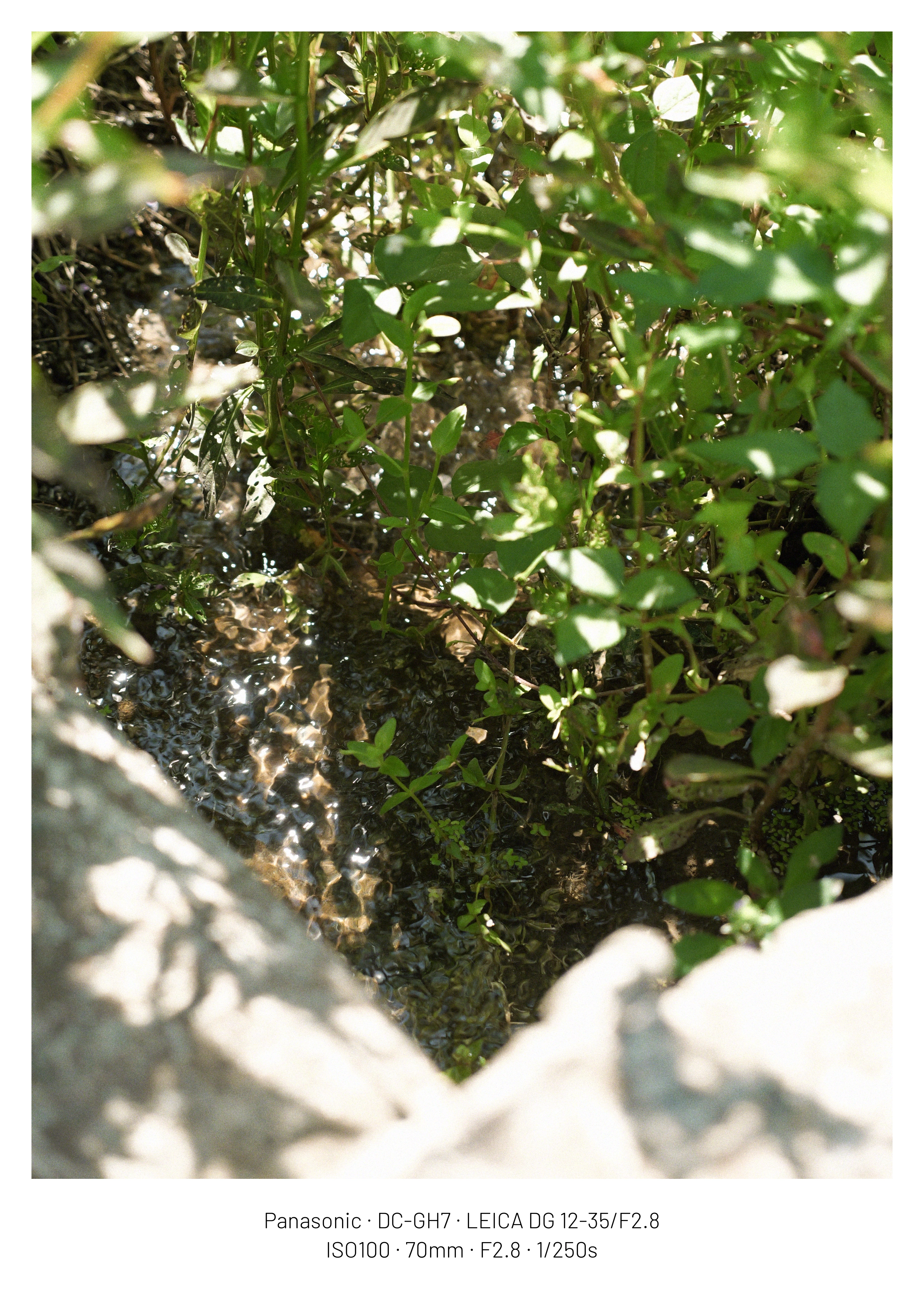 DC Inside 이미지 9