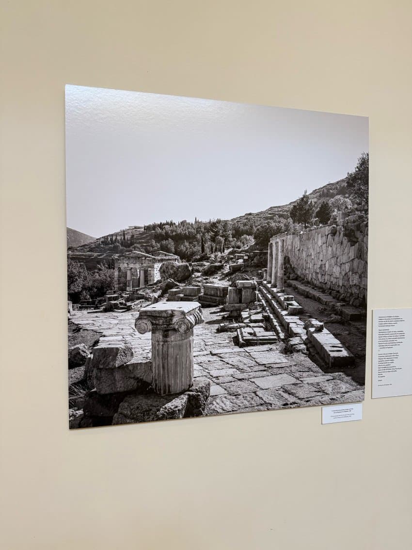 DC Inside 이미지 17