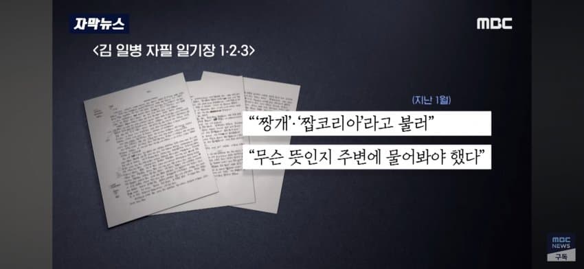 DC Inside 이미지 12