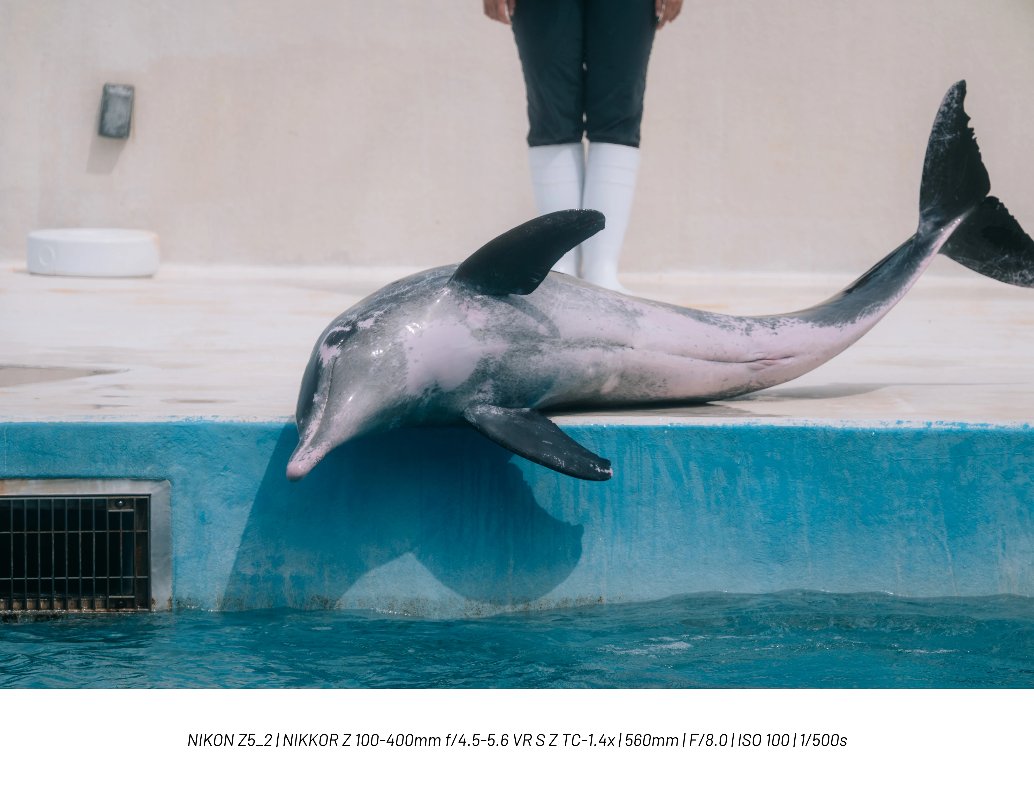 DC Inside 이미지 14