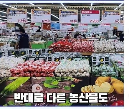 DC Inside 이미지 20