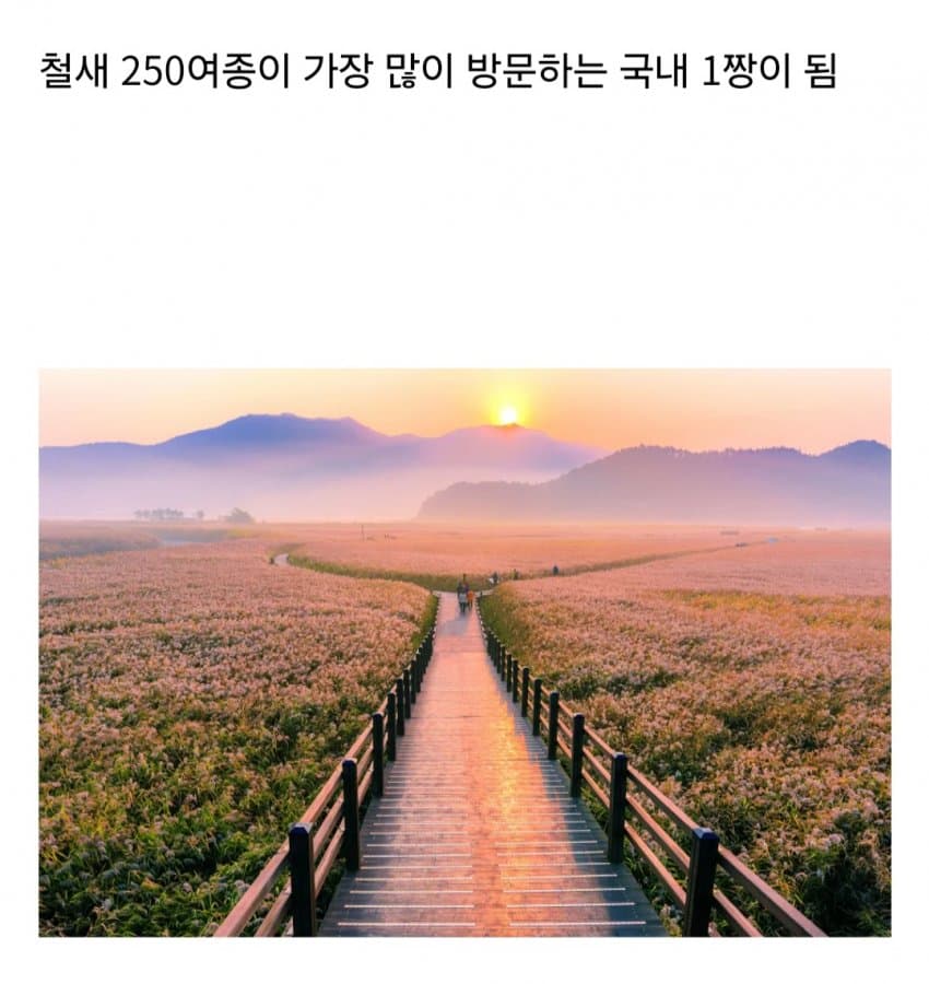 DC Inside 이미지 8