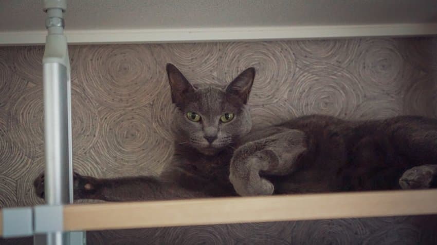 DC Inside 이미지 3