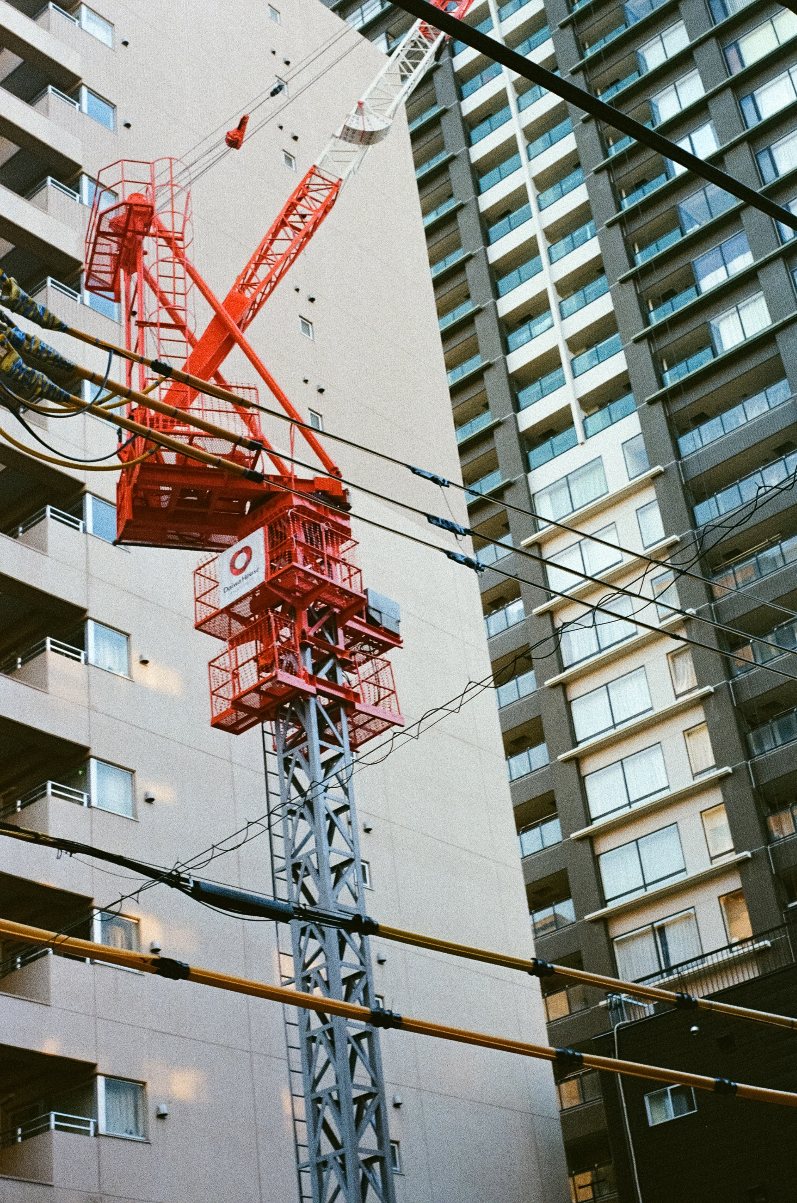 DC Inside 이미지 17