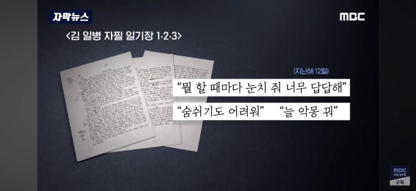 DC Inside 이미지 11