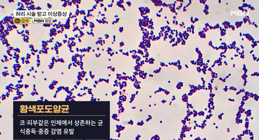 DC Inside 이미지 6