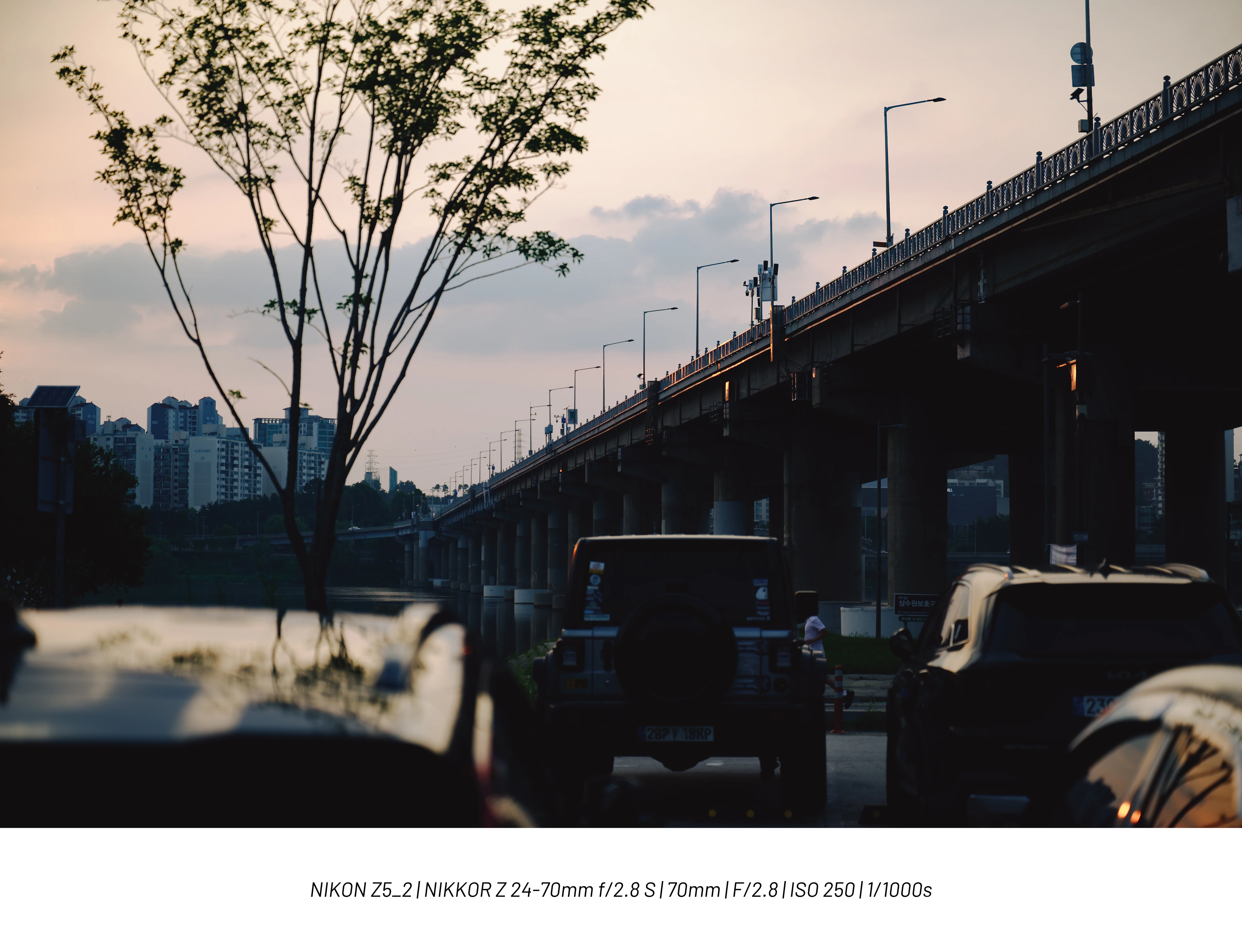 DC Inside 이미지 19