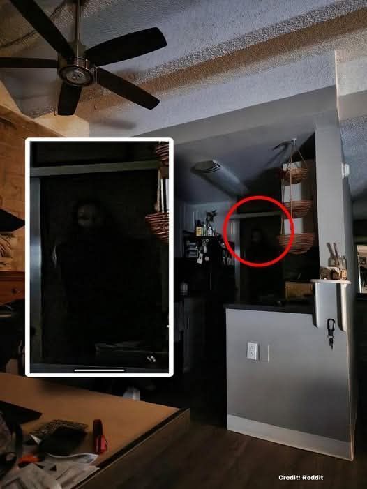 DC Inside 이미지 10