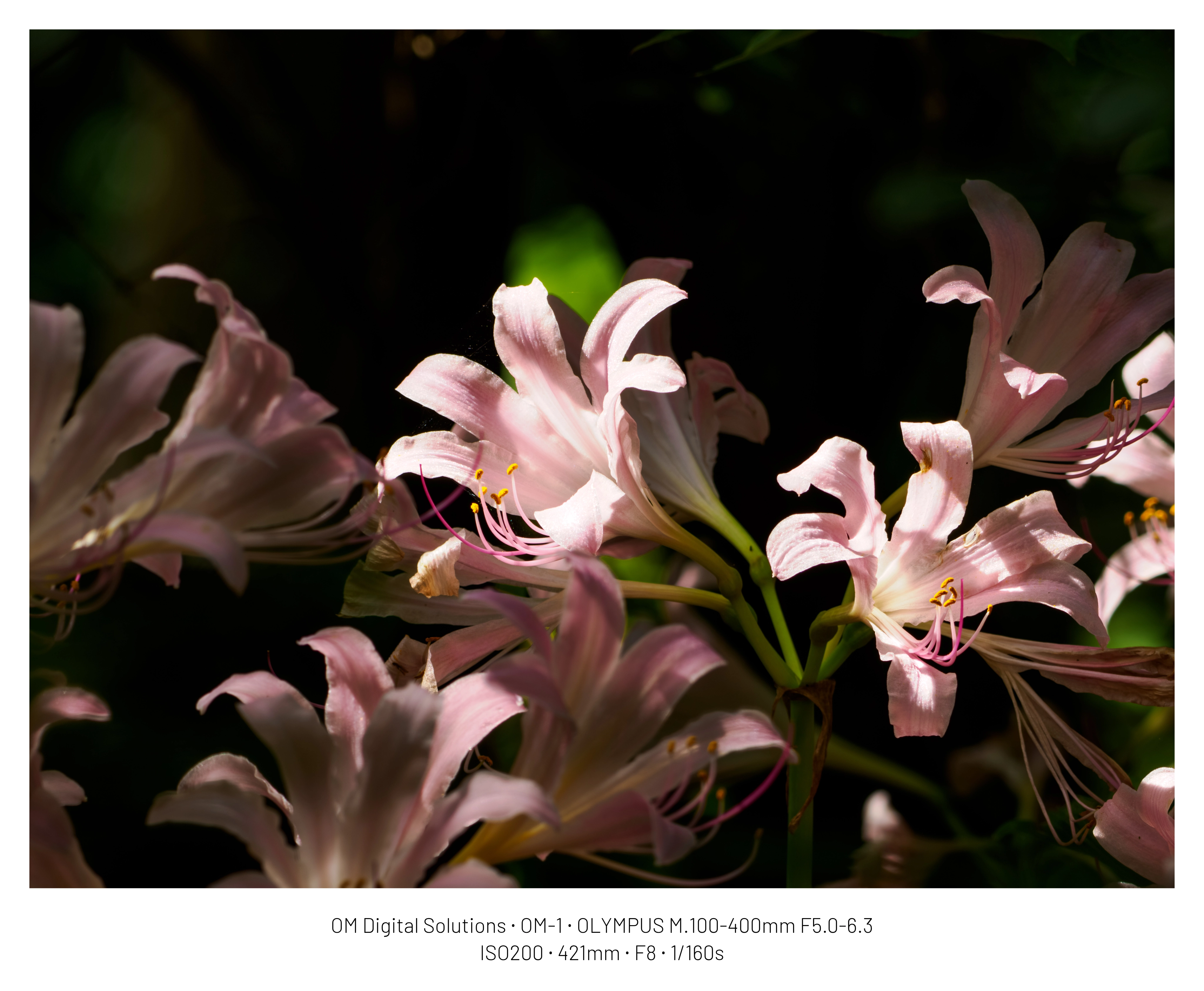 DC Inside 이미지 17