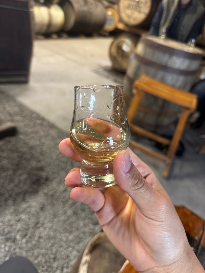 DC Inside 이미지 9