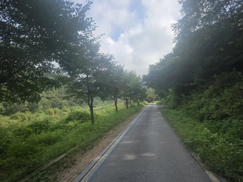 DC Inside 이미지 9