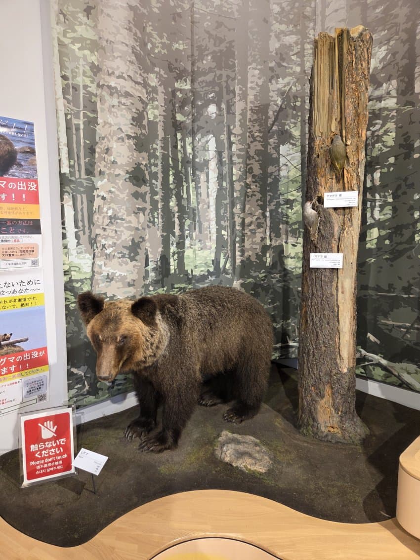 DC Inside 이미지 4