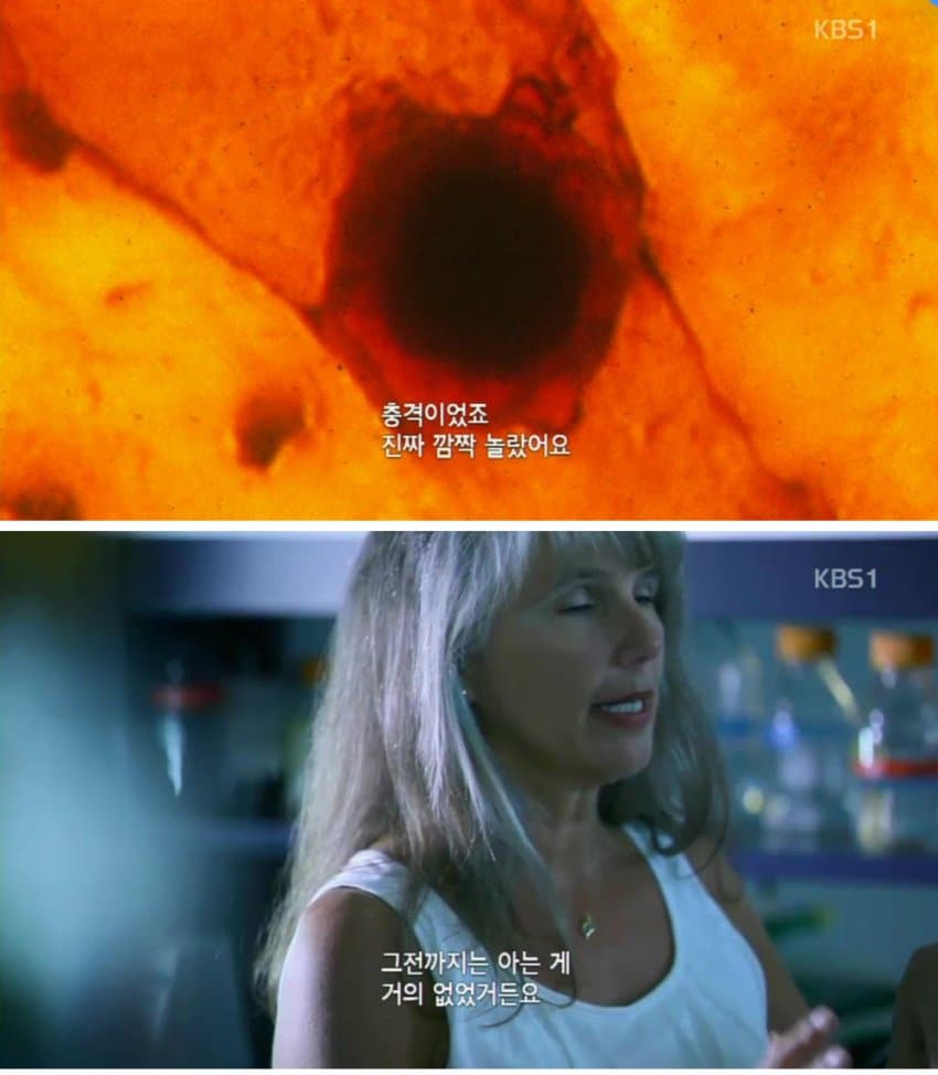 DC Inside 이미지 17