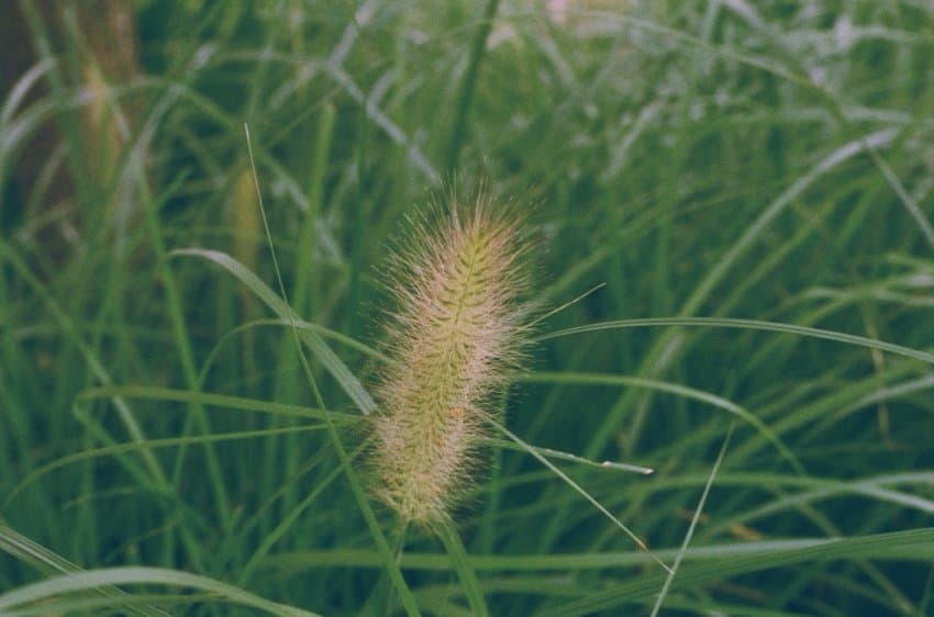 DC Inside 이미지 18