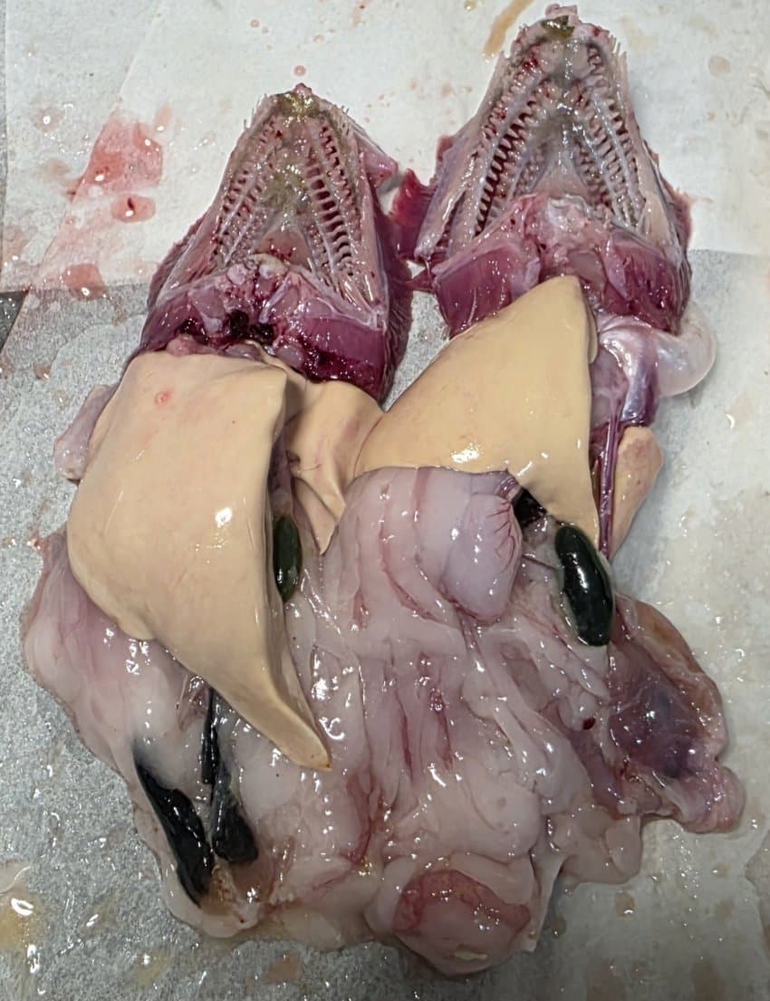 DC Inside 이미지 9