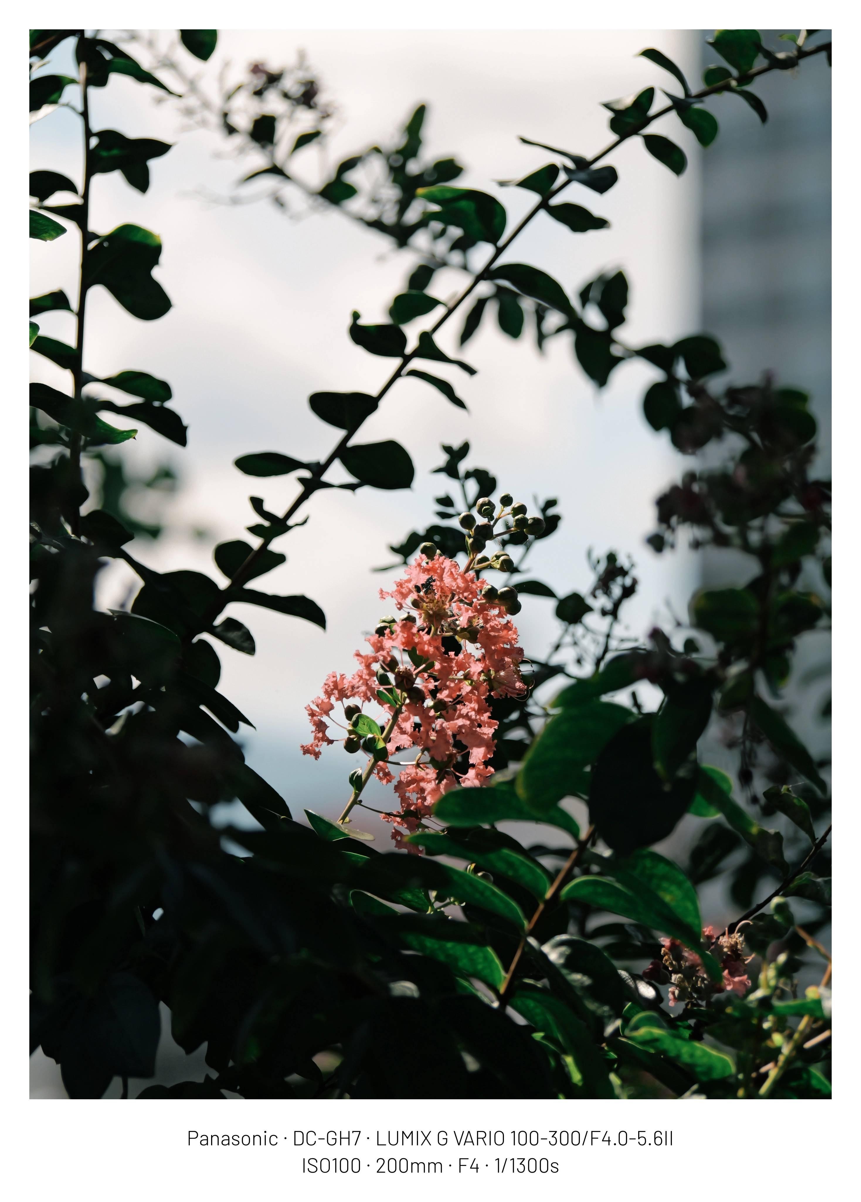 DC Inside 이미지 14