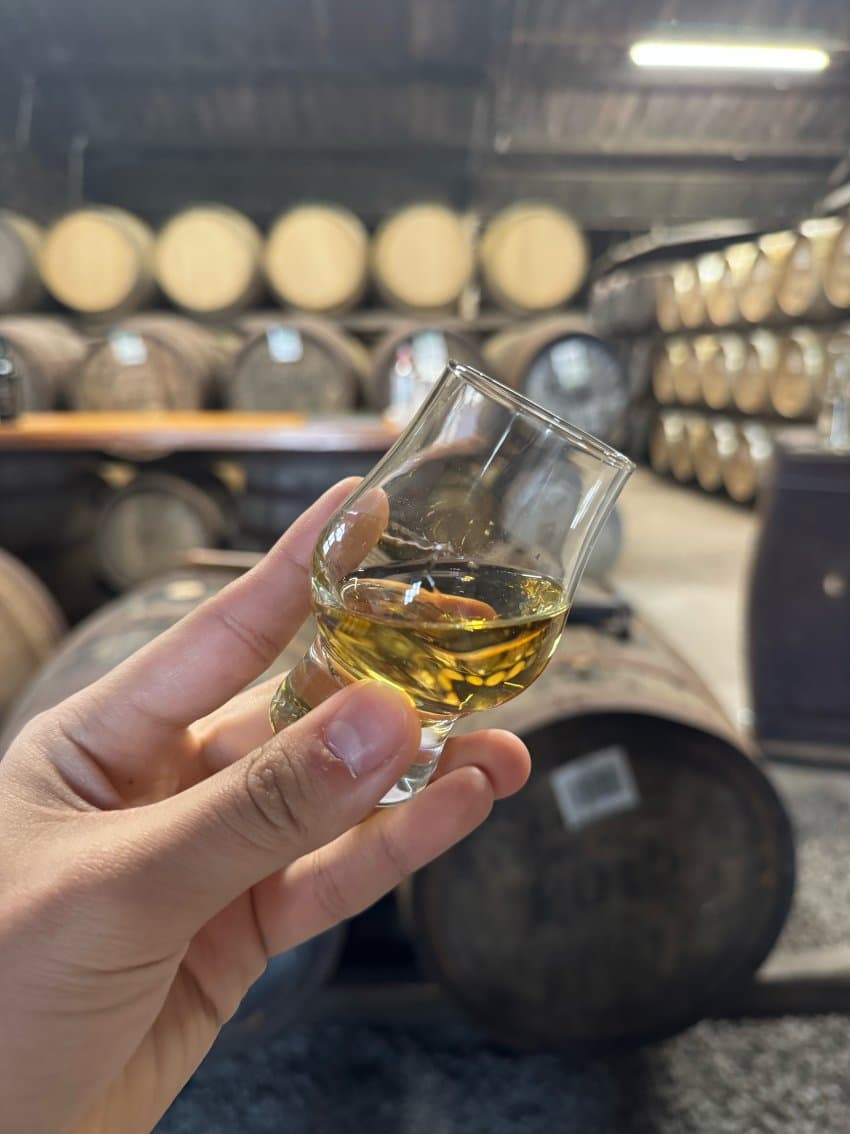 DC Inside 이미지 8