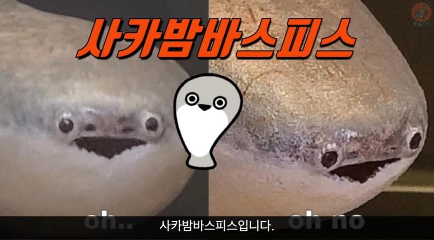 DC Inside 이미지 3
