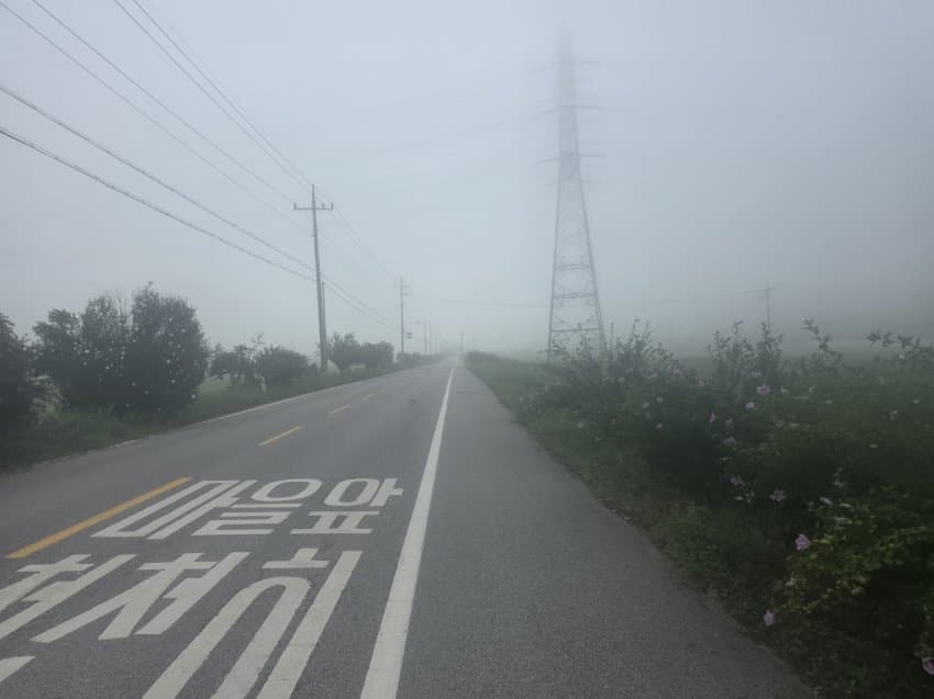 DC Inside 이미지 5