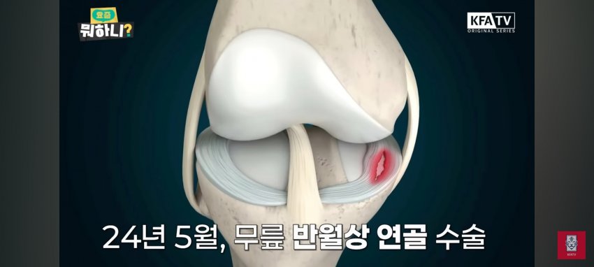 DC Inside 이미지 18