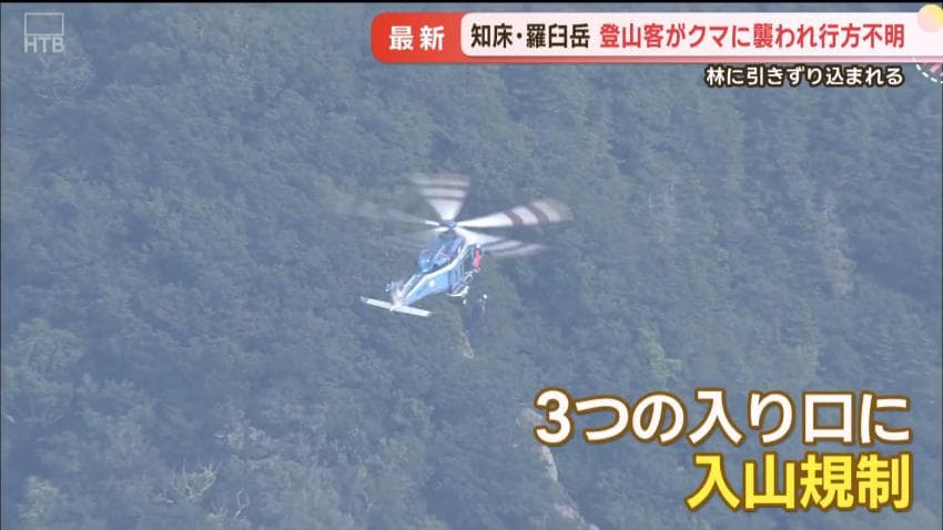 DC Inside 이미지 12