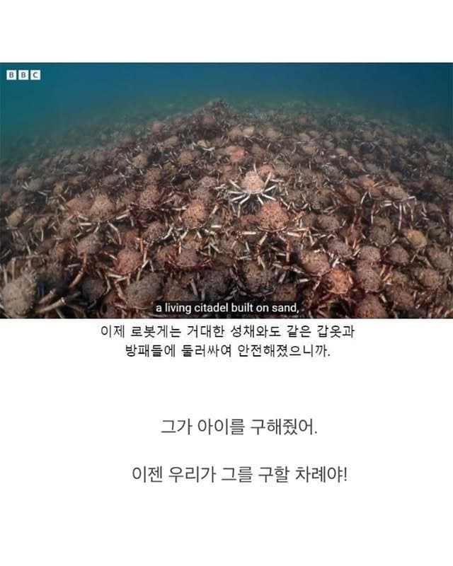 DC Inside 이미지 8