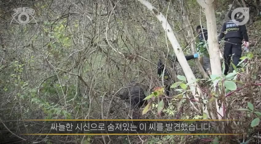 DC Inside 이미지 11