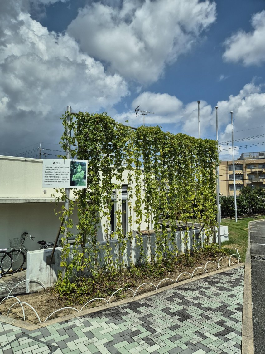 DC Inside 이미지 4