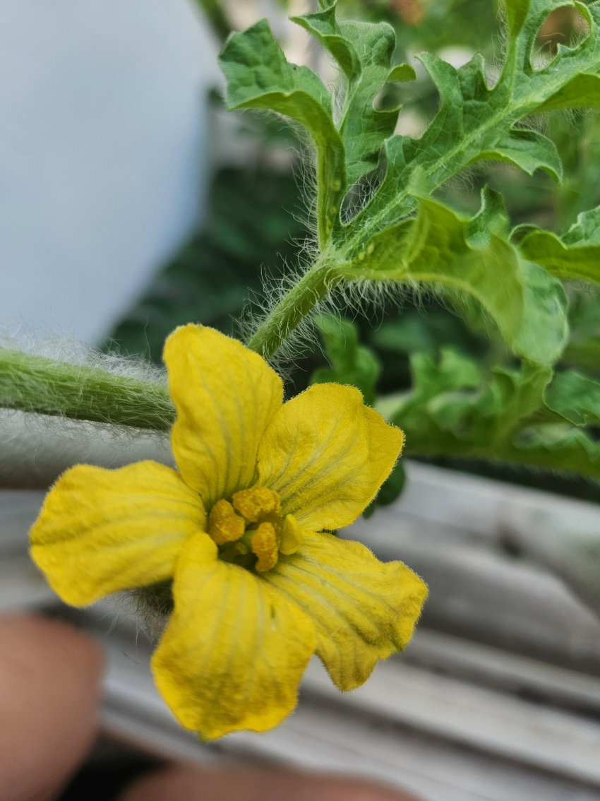 DC Inside 이미지 13