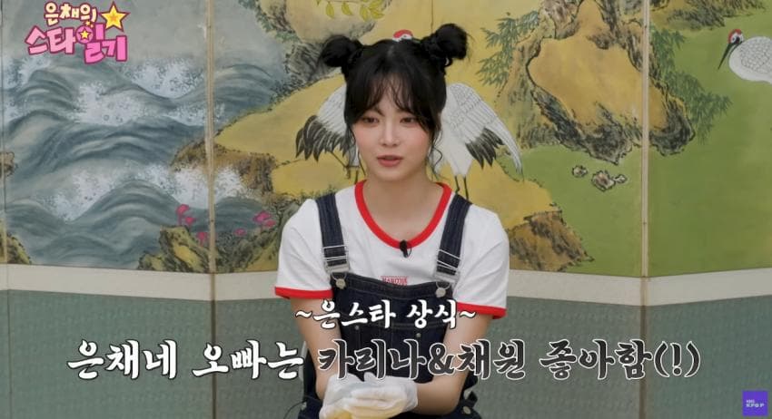 DC Inside 이미지 16