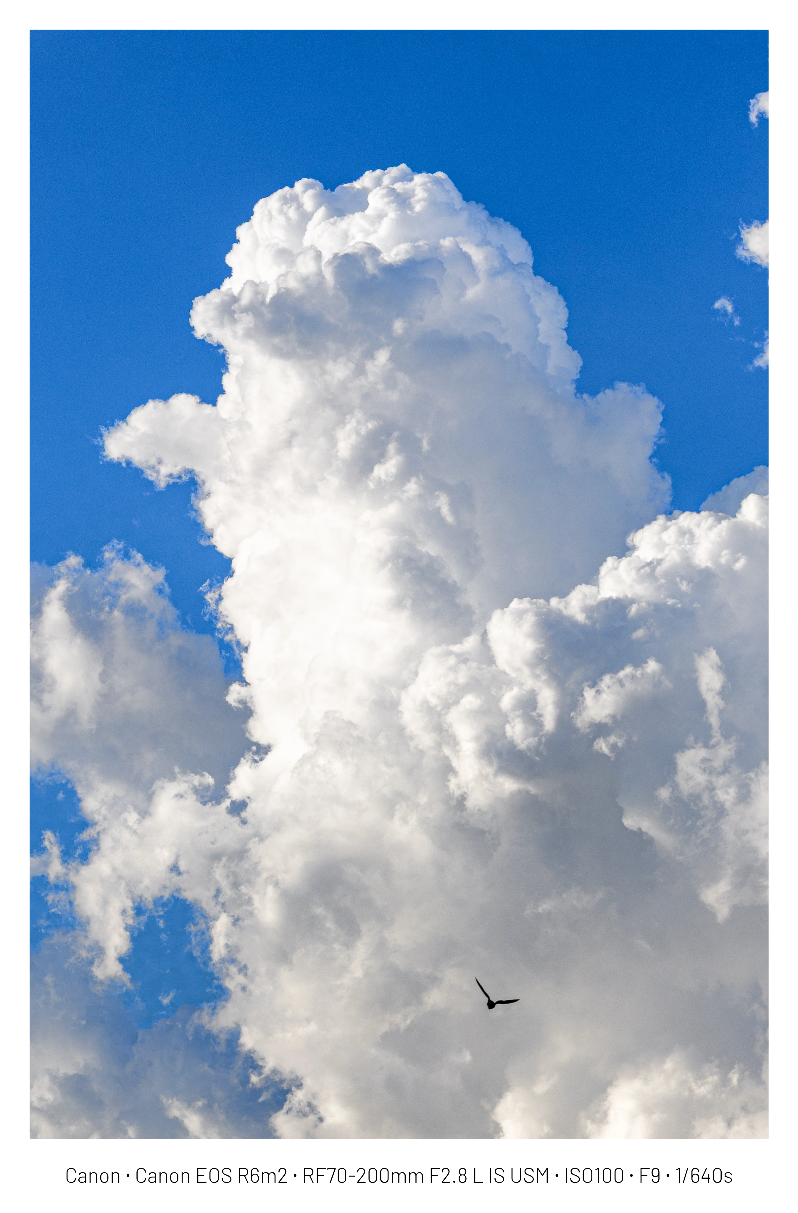 DC Inside 이미지 13