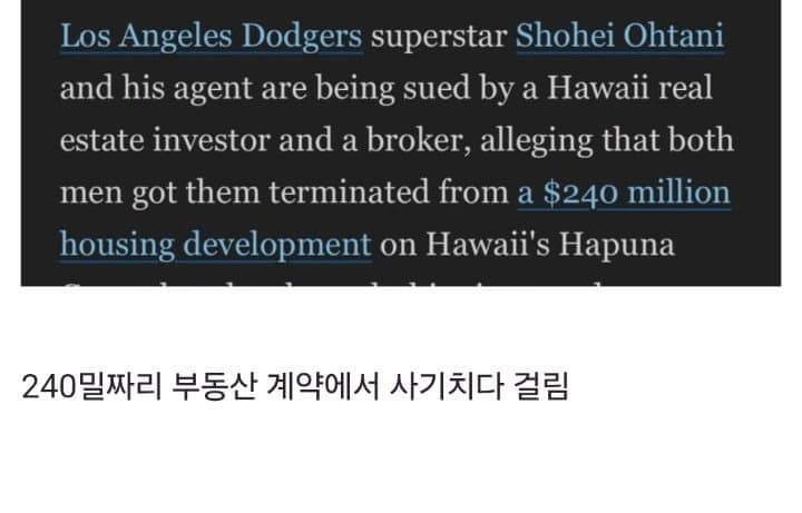 DC Inside 이미지 12