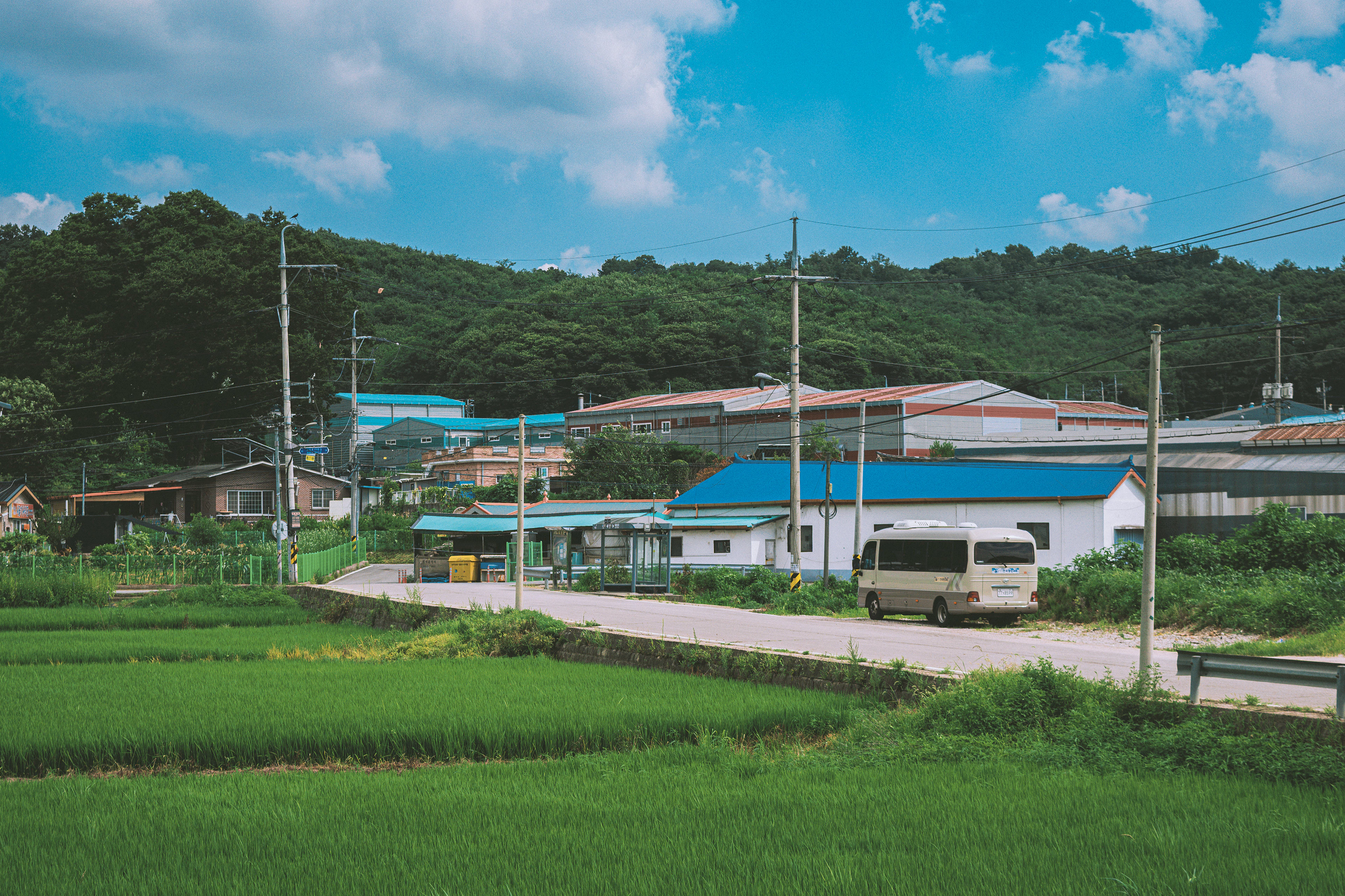 DC Inside 이미지 14