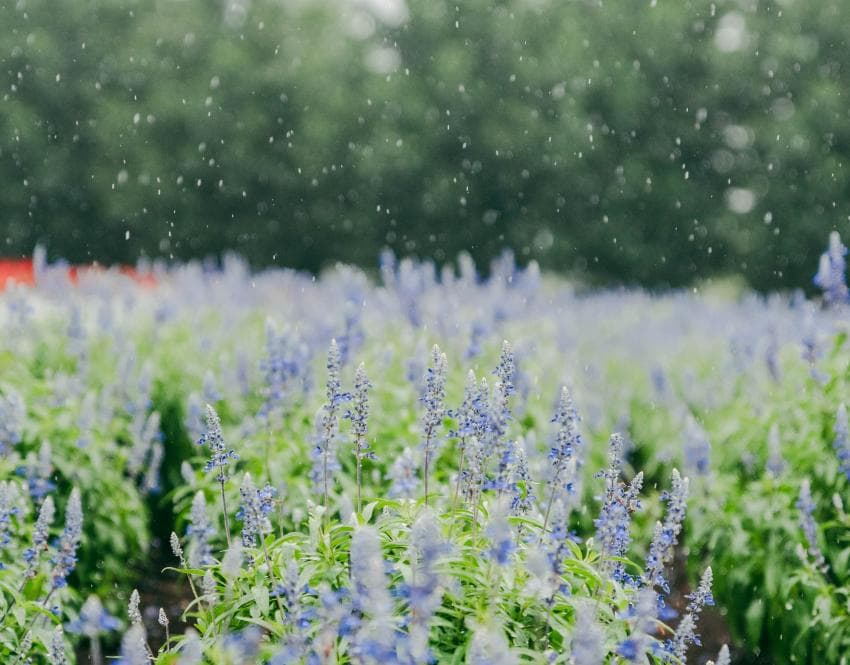 DC Inside 이미지 8