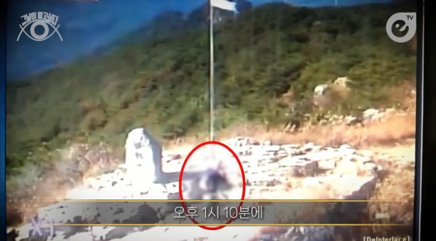 DC Inside 이미지 6