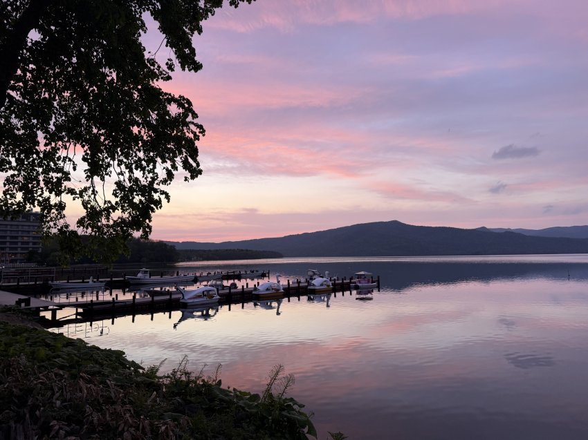 DC Inside 이미지 1