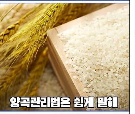 DC Inside 이미지 10
