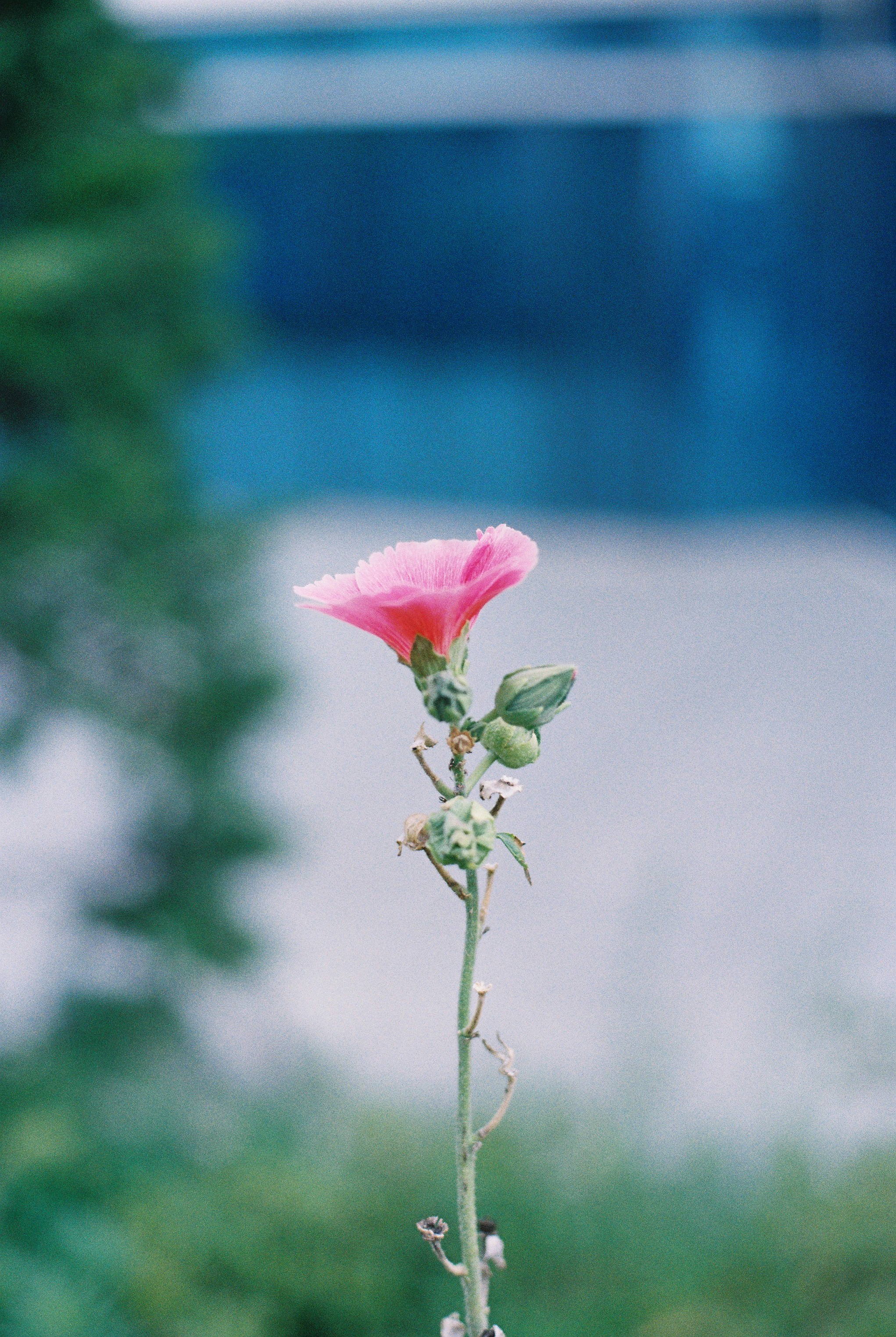 DC Inside 이미지 3