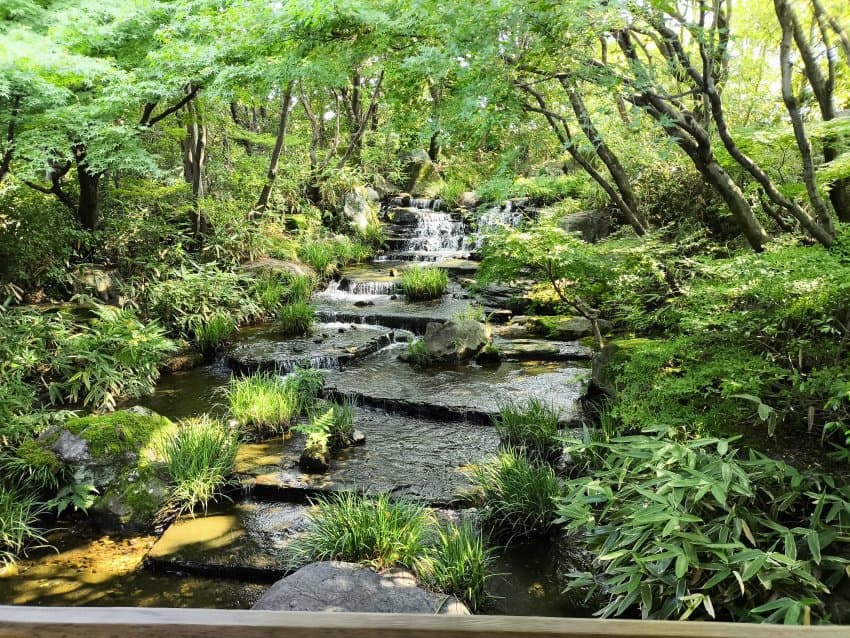 DC Inside 이미지 19