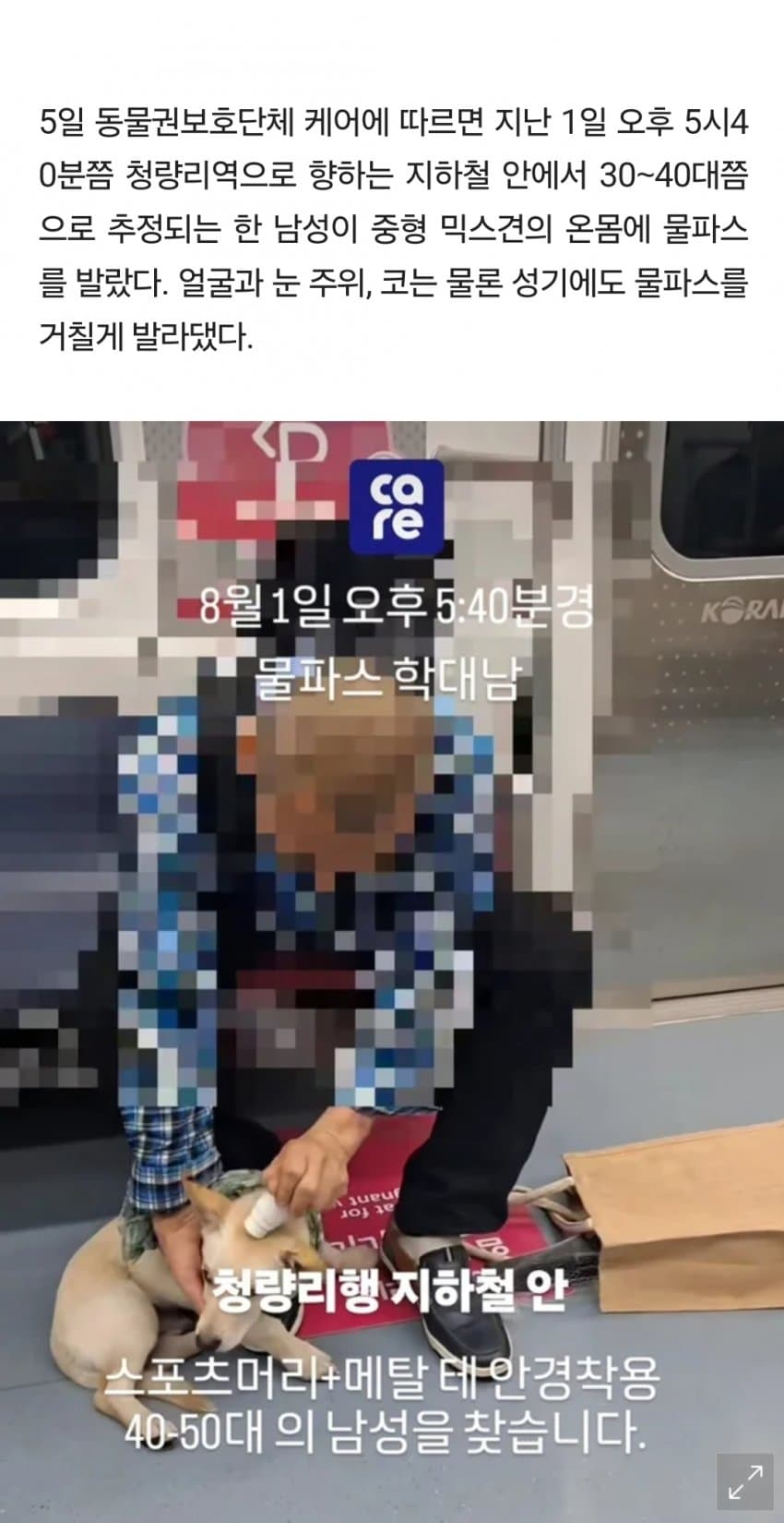 DC Inside 이미지 2