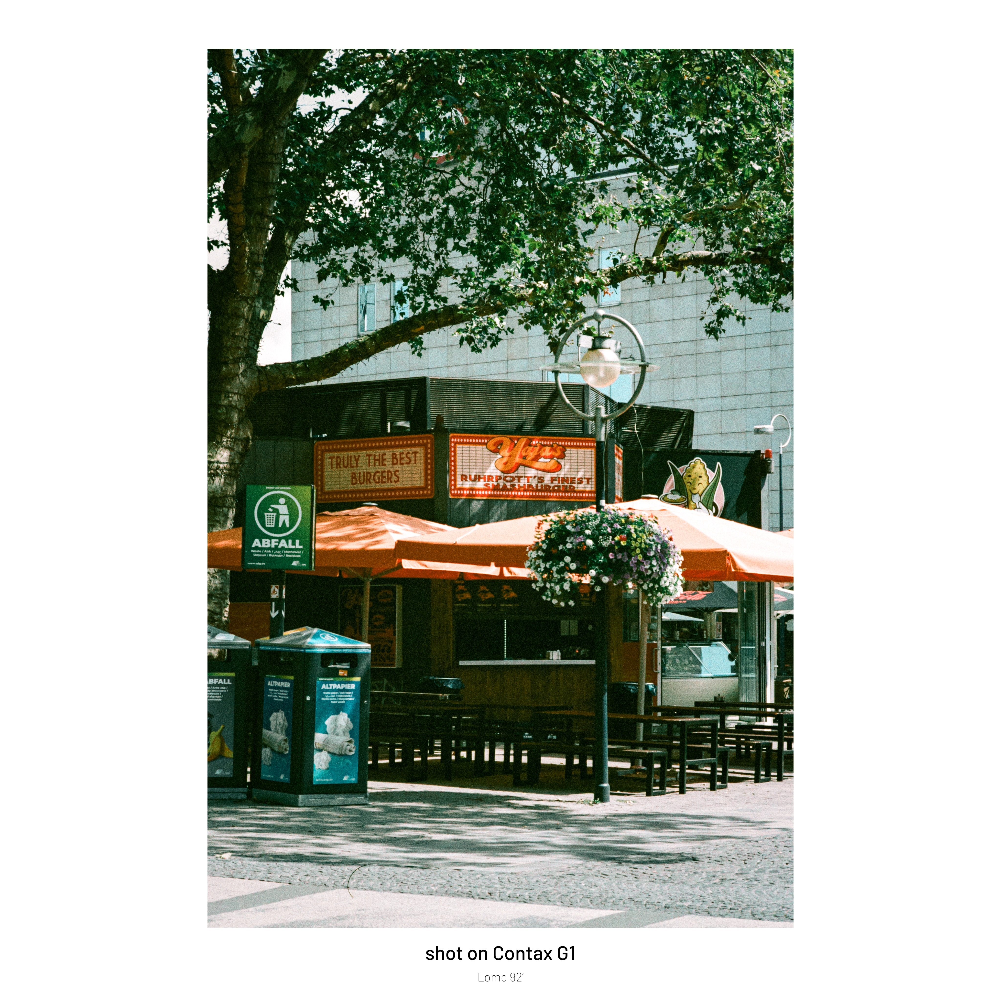 DC Inside 이미지 7