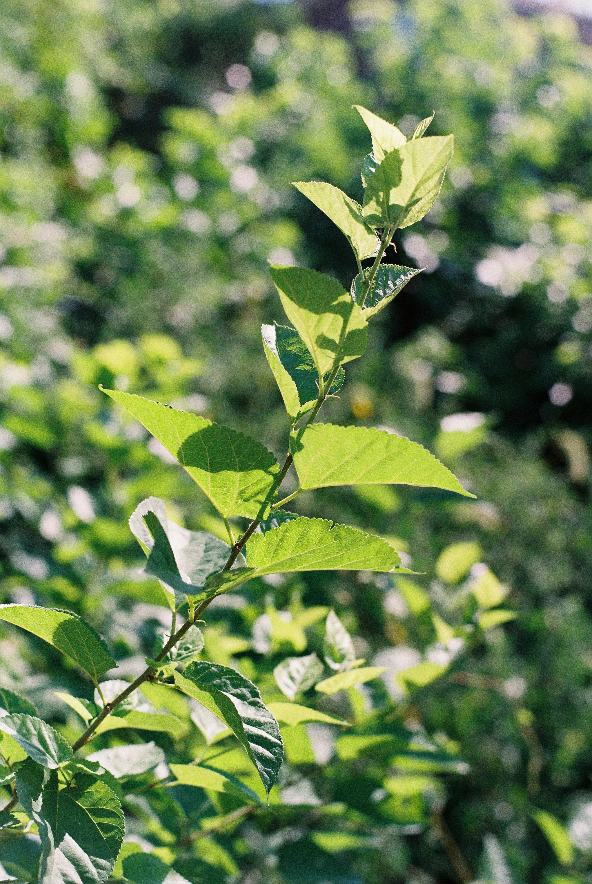 DC Inside 이미지 11