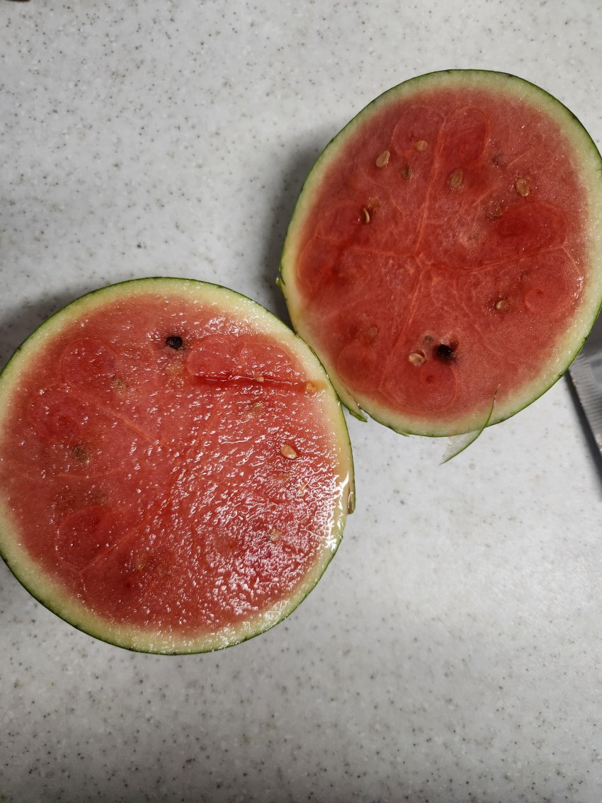 DC Inside 이미지 20