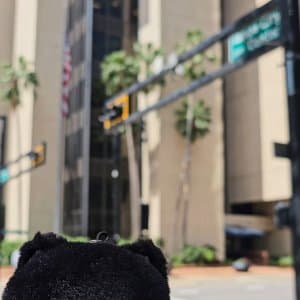 DC Inside 이미지 9