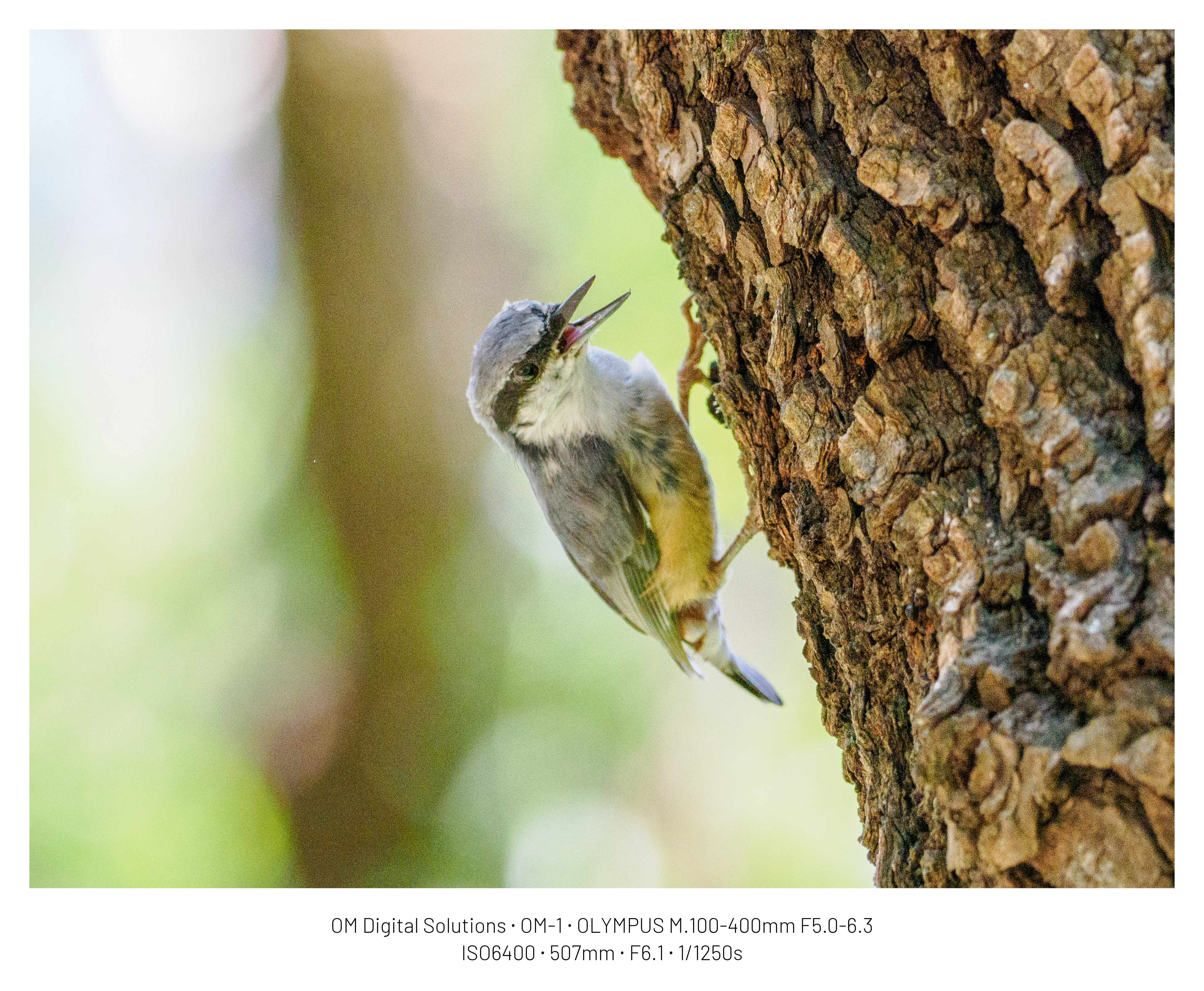 DC Inside 이미지 19