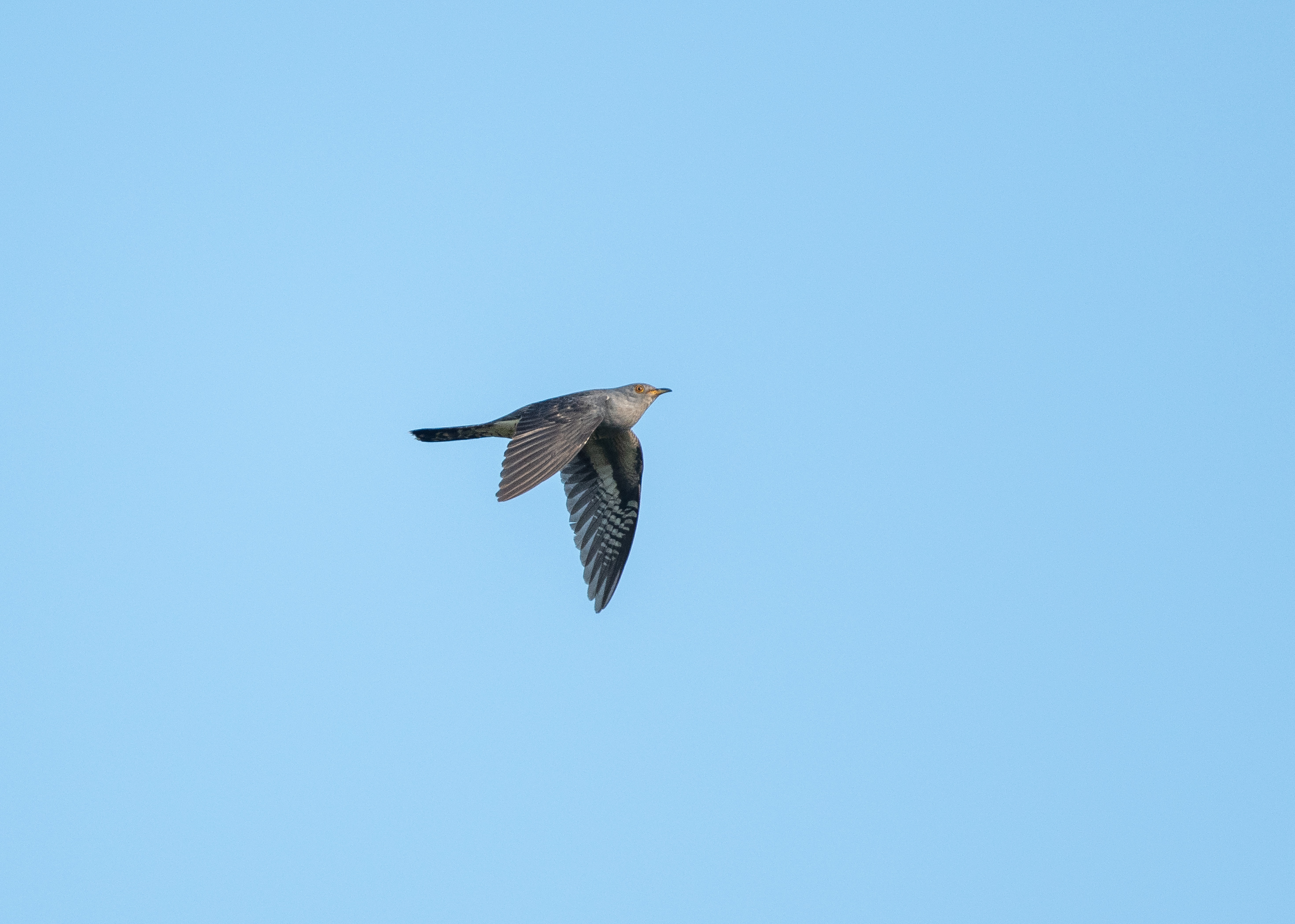 DC Inside 이미지 12