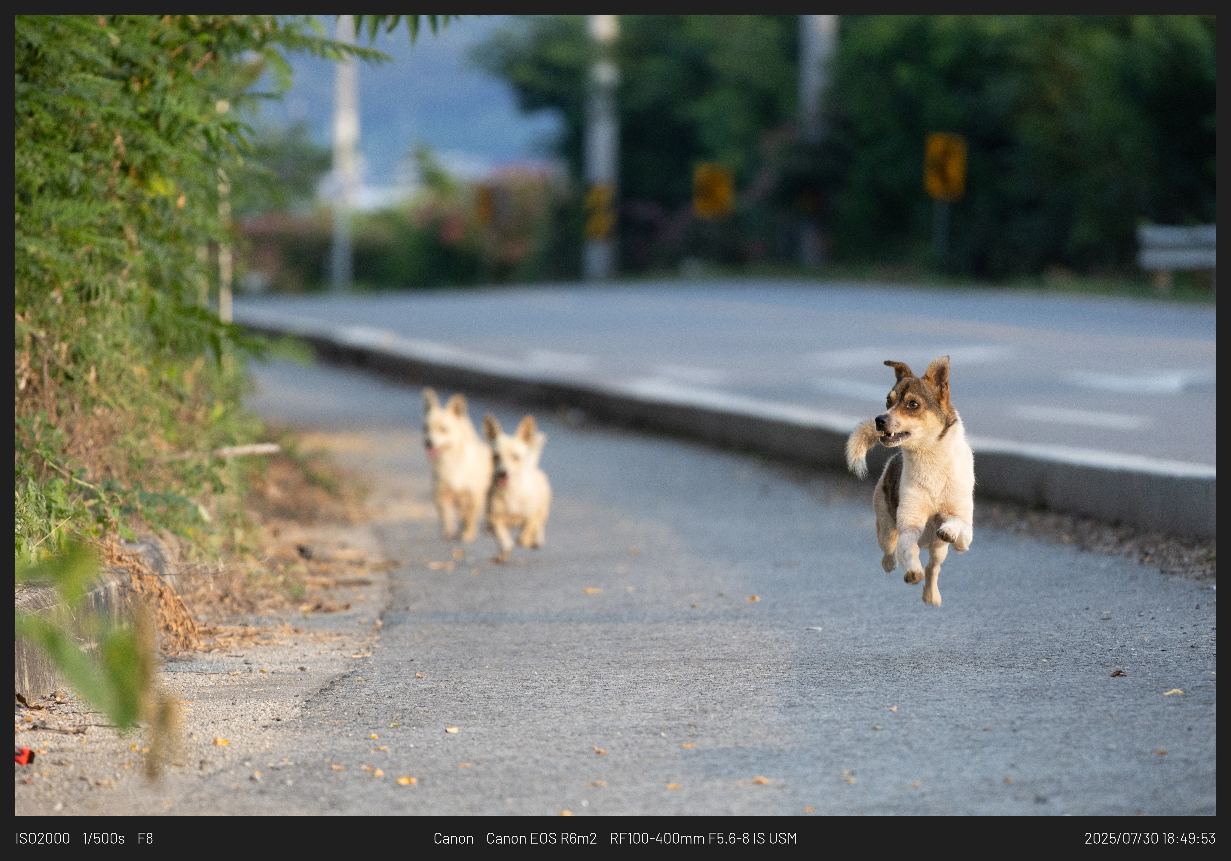 DC Inside 이미지 4