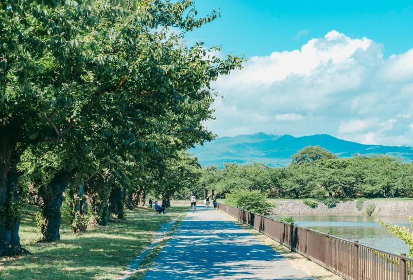 DC Inside 이미지 3