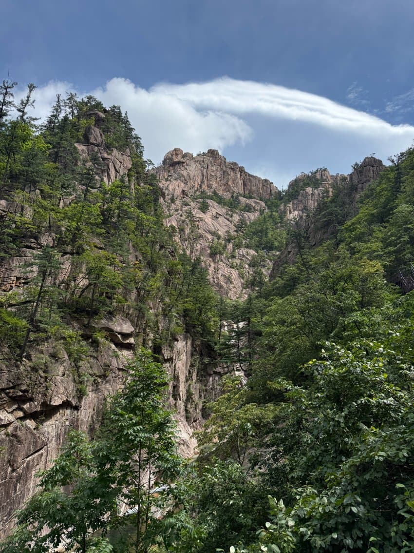 DC Inside 이미지 20