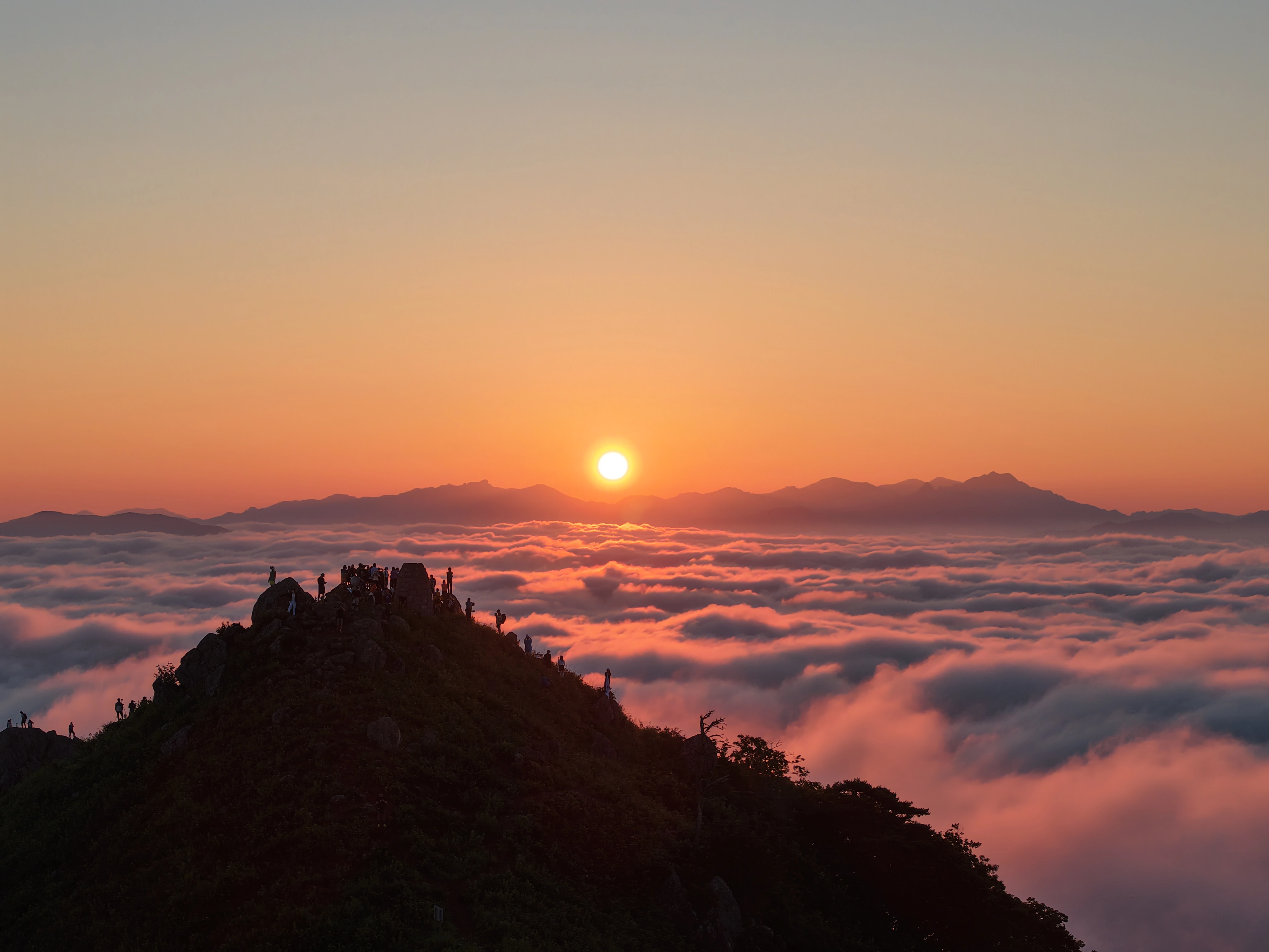 DC Inside 이미지 6